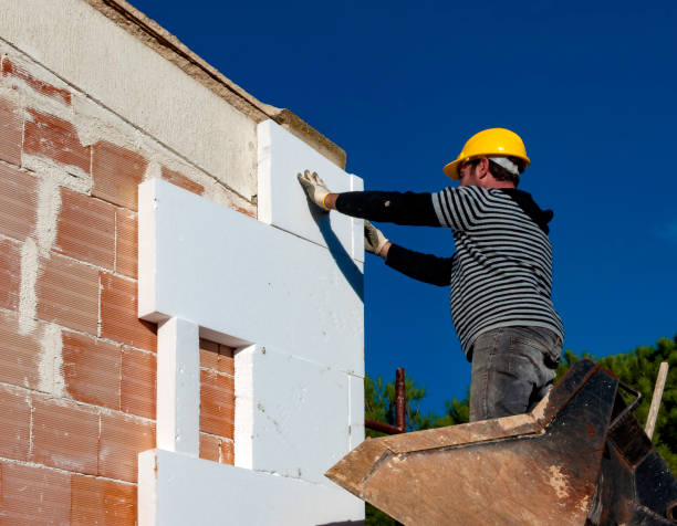 Best Attic Insulation Installation  in Dana, NC