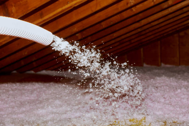 Best Professional Insulation Contractor  in Dana, NC