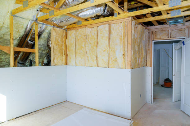 Best Local Insulation Services  in Dana, NC
