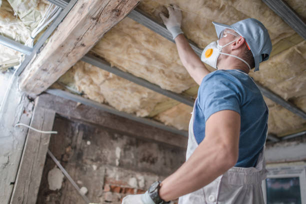 Best Insulation Replacement Services  in Dana, NC