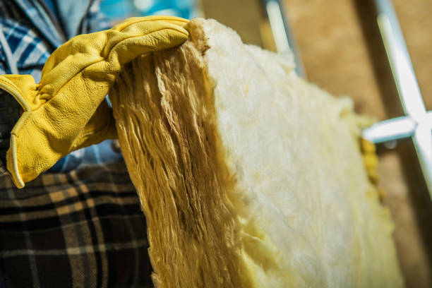 Best Wall Insulation Contractor  in Dana, NC