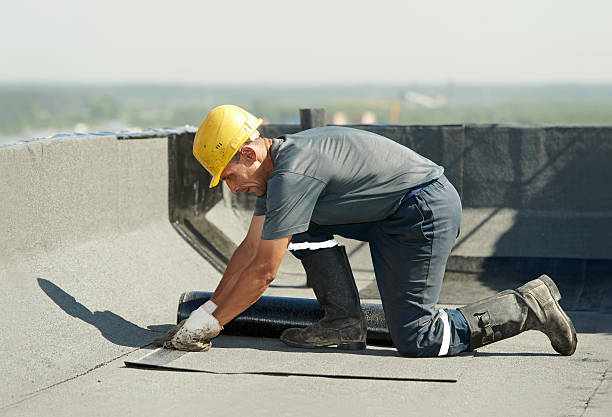 Best Insulation Contractors for Homes  in Dana, NC