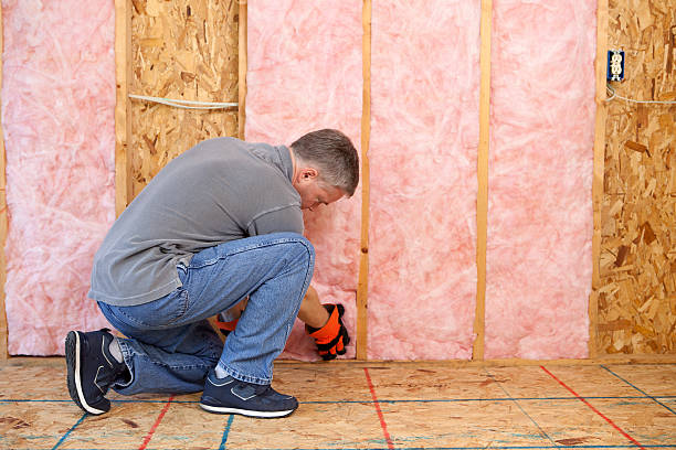 Best Local Insulation Services  in Dana, NC