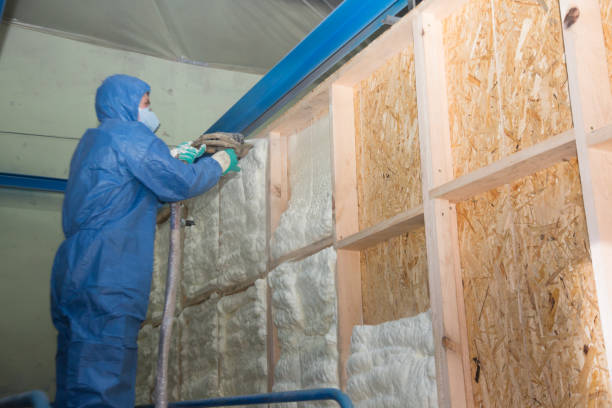 Best Best Insulation Companies  in Dana, NC