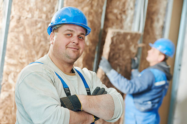 Best Insulation Repair Services  in Dana, NC