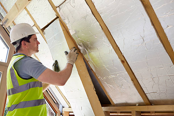 Best Blown-in Insulation  in Dana, NC