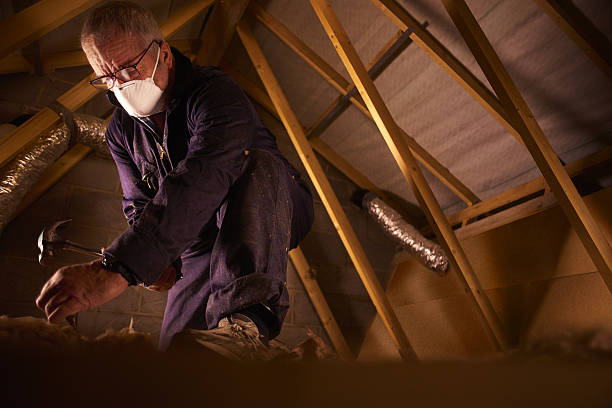 Best Residential Insulation Services  in Dana, NC