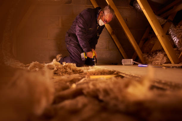 Professional Insulation Contractor in Dana, NC