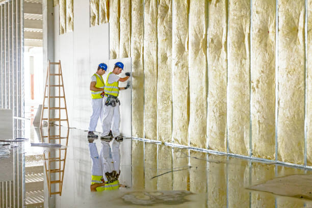 Best Soundproof Insulation Installation  in Dana, NC